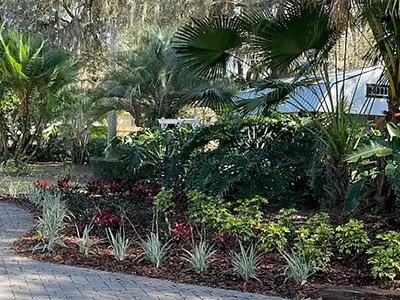 Landscape Services, Orlando, FL