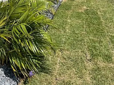 Landscaping Services, Apopka, FL